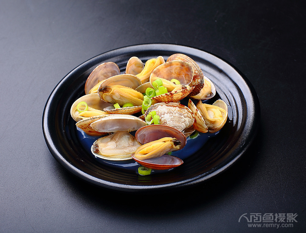 烟台杂色蛤摄影,烟台蛤蜊摄影