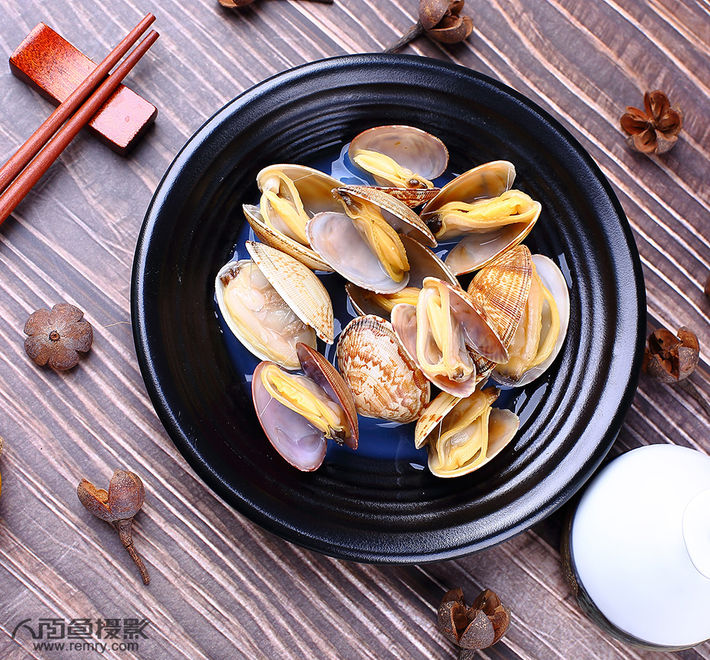 烟台杂色蛤摄影,烟台蛤蜊摄影