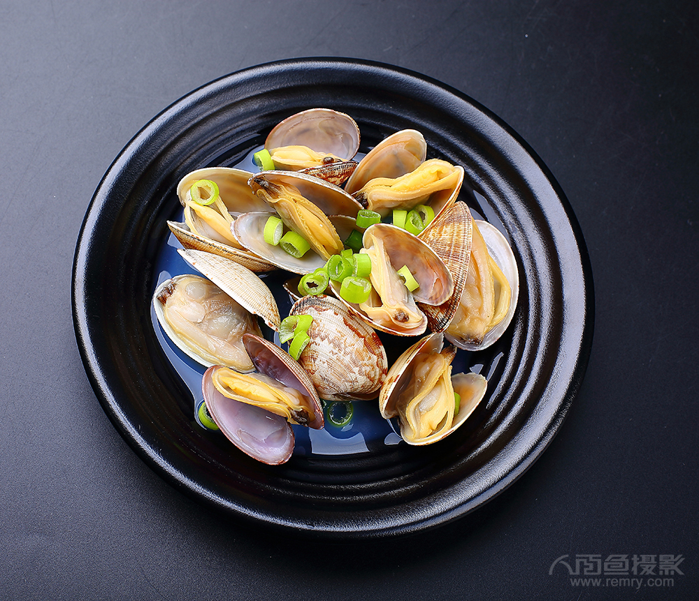 烟台杂色蛤摄影,烟台蛤蜊摄影