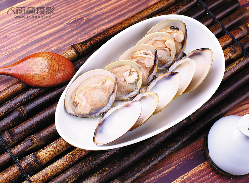 烟台文蛤摄影，烟台花蛤摄影