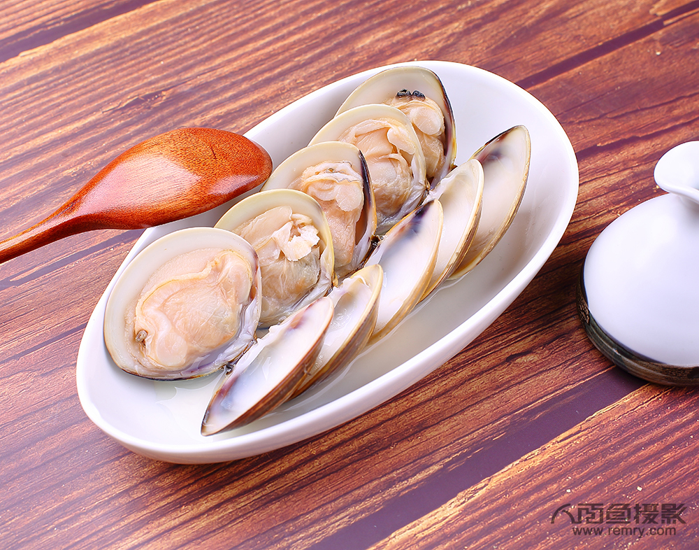 烟台文蛤摄影，烟台花蛤摄影